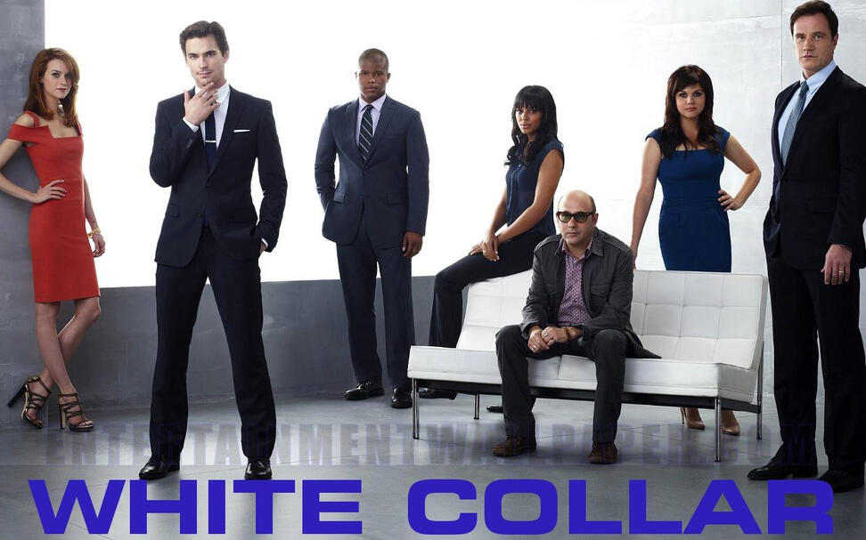 White Collar Treatment: Wrote a proposal to the show runner on events post series movie or mini-series. Arrived at showrunners office. Will post soon.